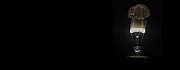 Burning Light Bulb